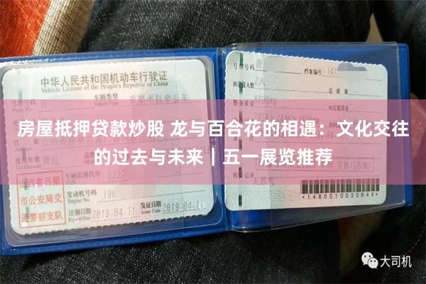 房屋抵押贷款炒股 龙与百合花的相遇：文化交往的过去与未来｜五一展览推荐