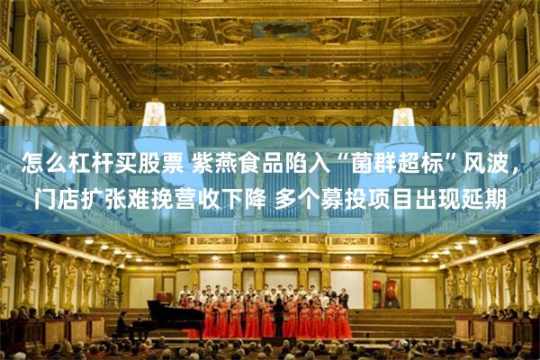 怎么杠杆买股票 紫燕食品陷入“菌群超标”风波，门店扩张难挽营收下降 多个募投项目出现延期
