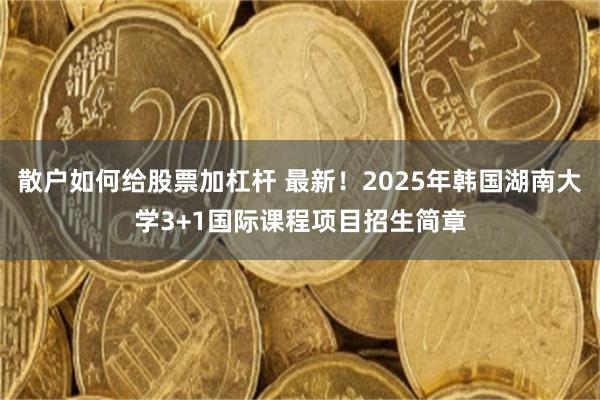 散户如何给股票加杠杆 最新！2025年韩国湖南大学3+1国际课程项目招生简章