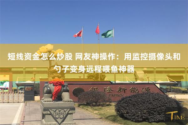 短线资金怎么炒股 网友神操作：用监控摄像头和勺子变身远程喂鱼神器