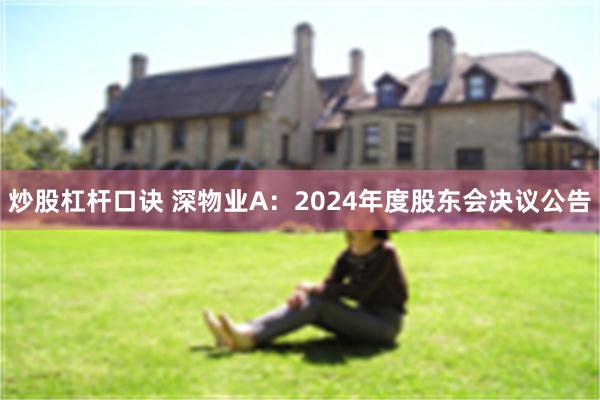 炒股杠杆口诀 深物业A：2024年度股东会决议公告