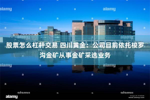 股票怎么杠杆交易 四川黄金：公司目前依托梭罗沟金矿从事金矿采选业务