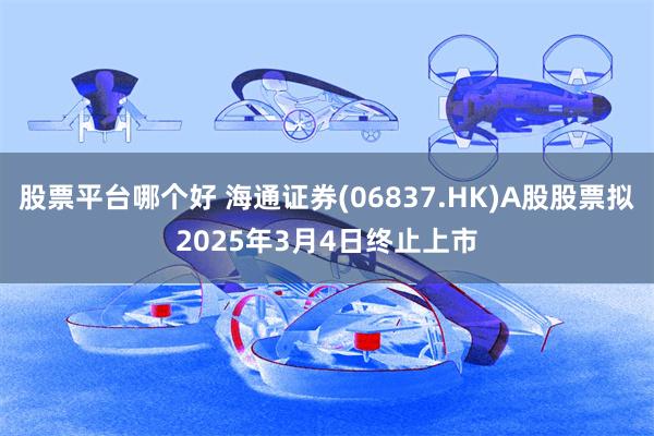 股票平台哪个好 海通证券(06837.HK)A股股票拟2025年3月4日终止上市