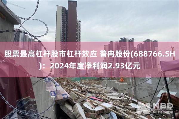 股票最高杠杆股市杠杆效应 普冉股份(688766.SH)：2024年度净利润2.93亿元