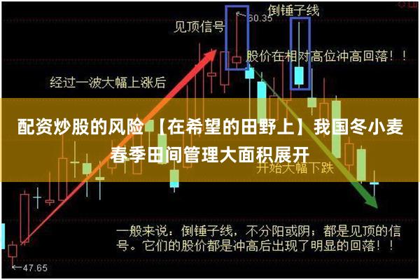 配资炒股的风险 【在希望的田野上】我国冬小麦春季田间管理大面积展开