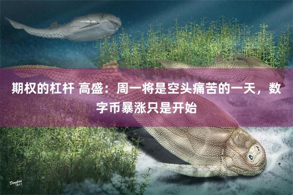 期权的杠杆 高盛：周一将是空头痛苦的一天，数字币暴涨只是开始