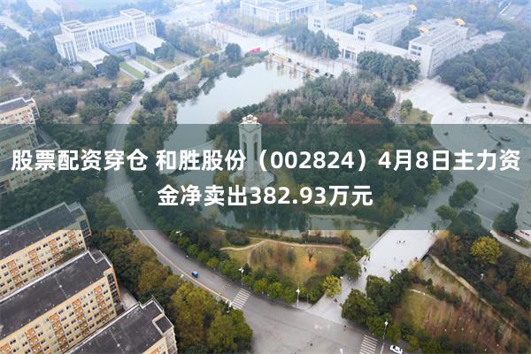 股票配资穿仓 和胜股份（002824）4月8日主力资金净卖出382.93万元