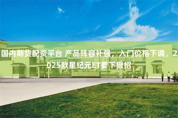 国内期货配资平台 产品阵容补强，入门价格下调，2025款星纪元ET要下狠招