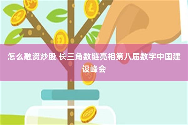 怎么融资炒股 长三角数链亮相第八届数字中国建设峰会