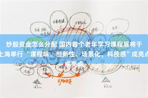 炒股资金怎么分配 国内首个老年学习课程展将于上海举行 “课程味、创新性、场景化、科技感”成亮点