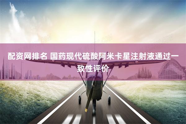配资网排名 国药现代硫酸阿米卡星注射液通过一致性评价
