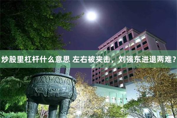 炒股里杠杆什么意思 左右被夹击，刘强东进退两难？
