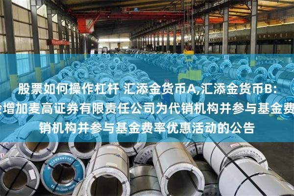 股票如何操作杠杆 汇添金货币A,汇添金货币B: 关于旗下部分基金增加麦高证券有限责任公司为代销机构并参与基金费率优惠活动的公告