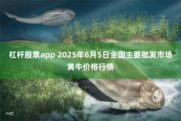 杠杆股票app 2025年6月5日全国主要批发市场黄牛价格行情