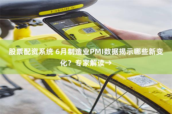 股票配资系统 6月制造业PMI数据揭示哪些新变化？专家解读→