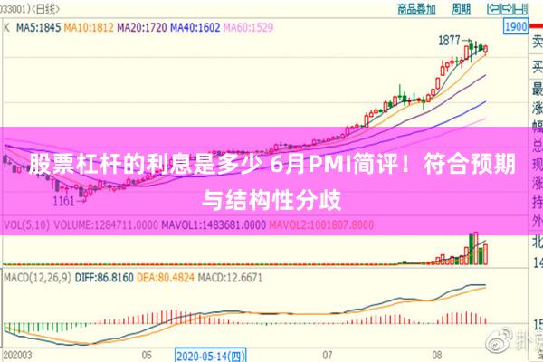 股票杠杆的利息是多少 6月PMI简评！符合预期与结构性分歧