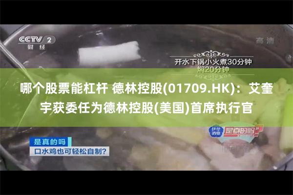 哪个股票能杠杆 德林控股(01709.HK)：艾奎宇获委任为德林控股(美国)首席执行官