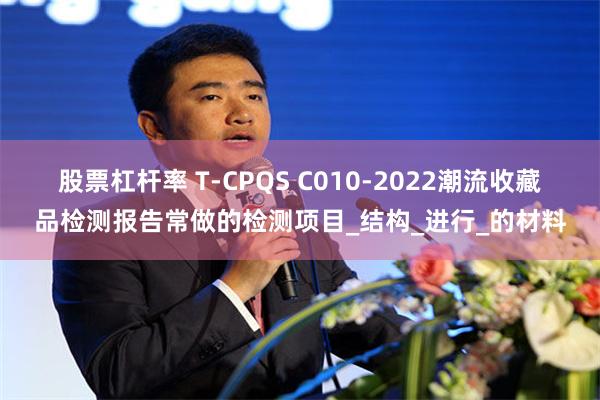 股票杠杆率 T-CPQS C010-2022潮流收藏品检测报告常做的检测项目_结构_进行_的材料