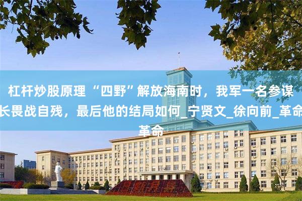 杠杆炒股原理 “四野”解放海南时，我军一名参谋长畏战自残，最后他的结局如何_宁贤文_徐向前_革命
