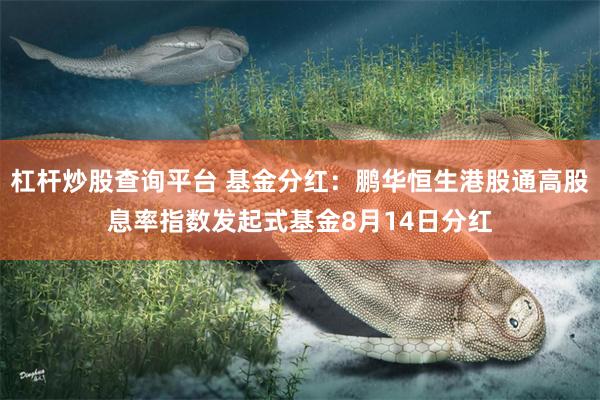 杠杆炒股查询平台 基金分红：鹏华恒生港股通高股息率指数发起式基金8月14日分红