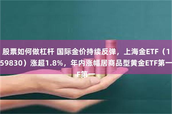 股票如何做杠杆 国际金价持续反弹，上海金ETF（159830）涨超1.8%，年内涨幅居商品型黄金ETF第一