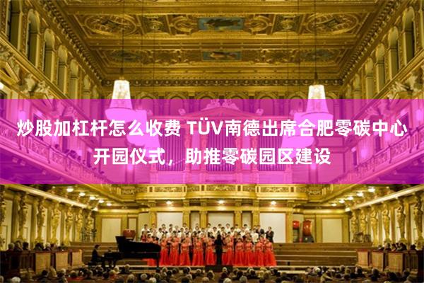 炒股加杠杆怎么收费 TÜV南德出席合肥零碳中心开园仪式，助推零碳园区建设