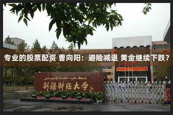 专业的股票配资 曹向阳：避险减退 黄金继续下跌？