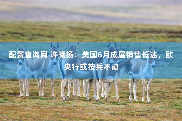 配资查询网 许曦扬:美国6月成屋销售低迷,欧央行或按兵不动