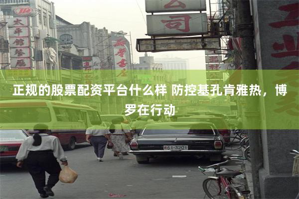 正规的股票配资平台什么样 防控基孔肯雅热，博罗在行动