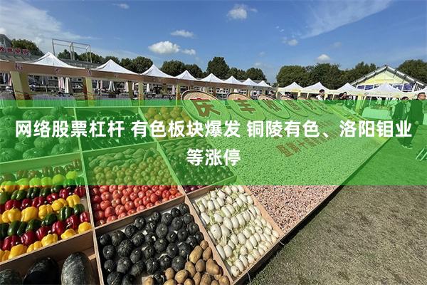 网络股票杠杆 有色板块爆发 铜陵有色、洛阳钼业等涨停