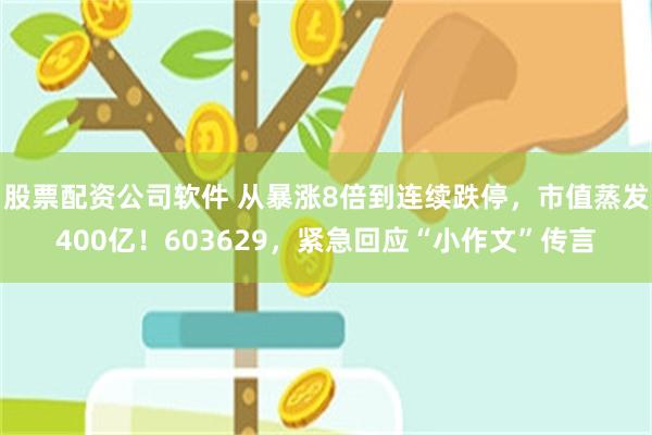 股票配资公司软件 从暴涨8倍到连续跌停，市值蒸发400亿！603629，紧急回应“小作文”传言