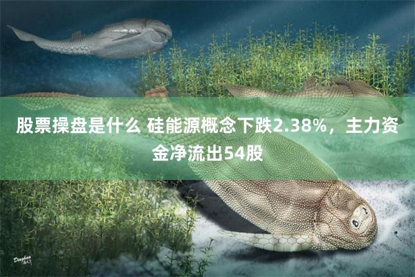 股票操盘是什么 硅能源概念下跌2.38%，主力资金净流出54股