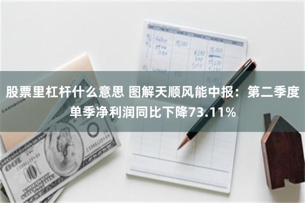 股票里杠杆什么意思 图解天顺风能中报：第二季度单季净利润同比下降73.11%