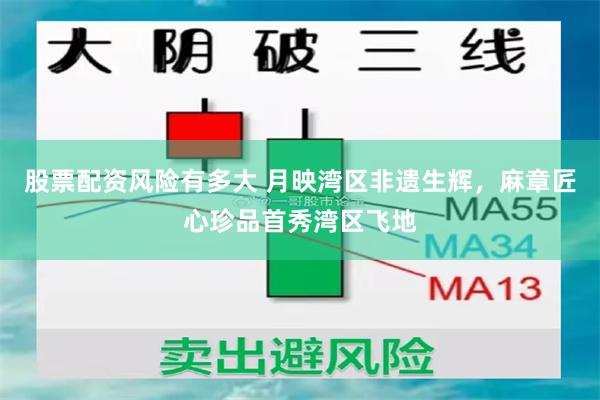 股票配资风险有多大 月映湾区非遗生辉，麻章匠心珍品首秀湾区飞地