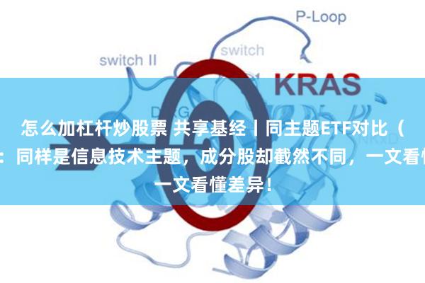 怎么加杠杆炒股票 共享基经丨同主题ETF对比（十六）：同样是信息技术主题，成分股却截然不同，一文看懂差异！