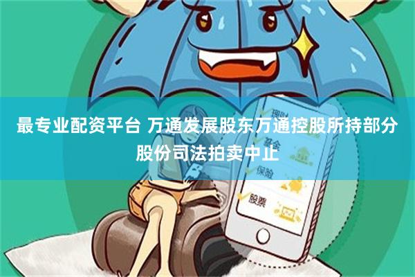 最专业配资平台 万通发展股东万通控股所持部分股份司法拍卖中止