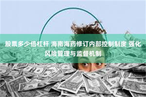 股票多少倍杠杆 海南海药修订内部控制制度 强化风险管理与监督机制