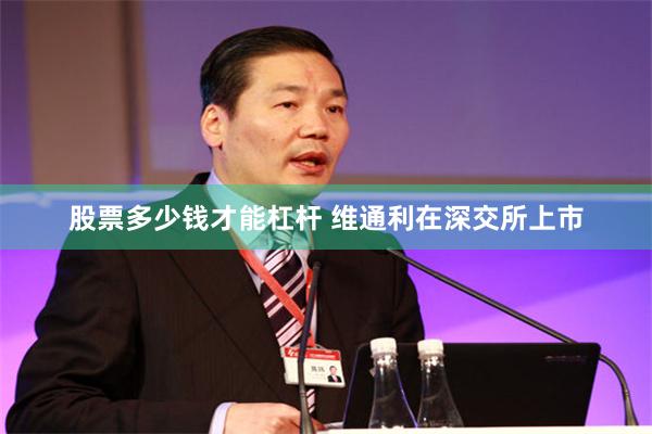 股票多少钱才能杠杆 维通利在深交所上市