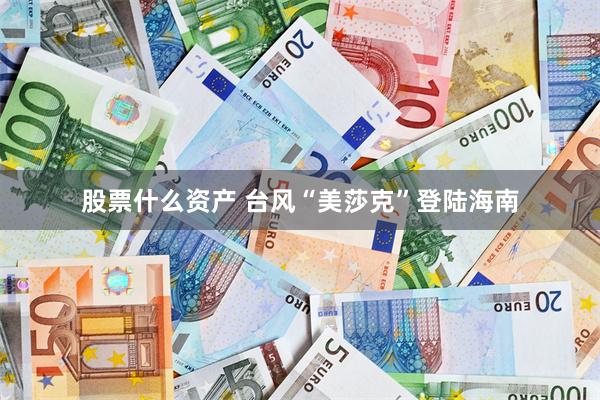 股票什么资产 台风“美莎克”登陆海南