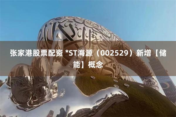 张家港股票配资 *ST海源（002529）新增【储能】概念