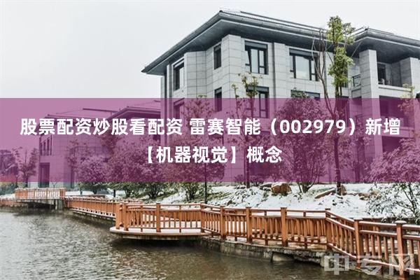 股票配资炒股看配资 雷赛智能（002979）新增【机器视觉】概念