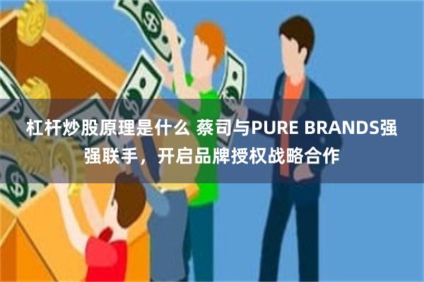 杠杆炒股原理是什么 蔡司与PURE BRANDS强强联手，开启品牌授权战略合作