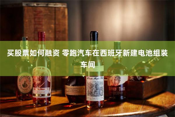 买股票如何融资 零跑汽车在西班牙新建电池组装车间