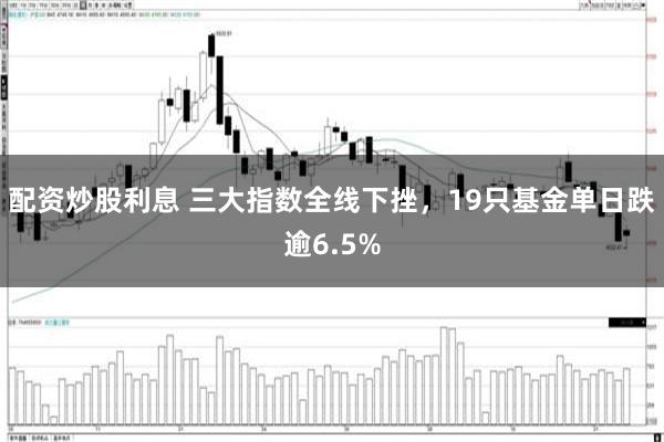 配资炒股利息 三大指数全线下挫，19只基金单日跌逾6.5%