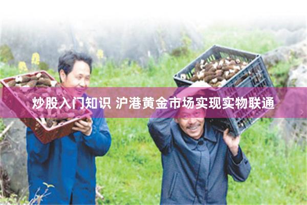 炒股入门知识 沪港黄金市场实现实物联通