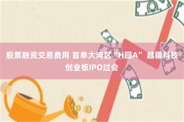 股票融资交易费用 首单大湾区“H回A” 越疆科技创业板IPO过会