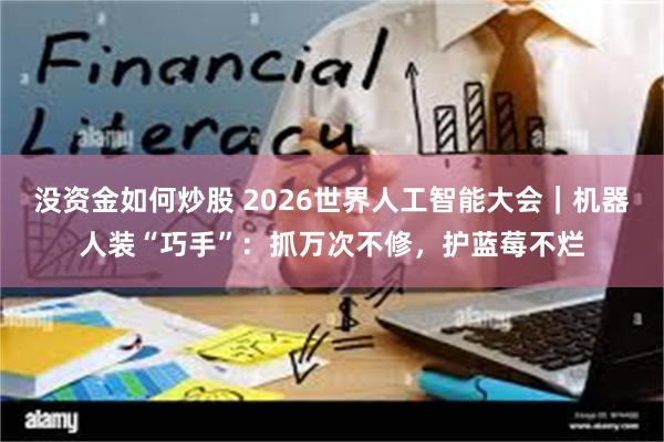 没资金如何炒股 2026世界人工智能大会｜机器人装“巧手”：抓万次不修，护蓝莓不烂