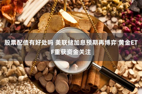 股票配债有好处吗 美联储加息预期再博弈 黄金ETF重获资金关注