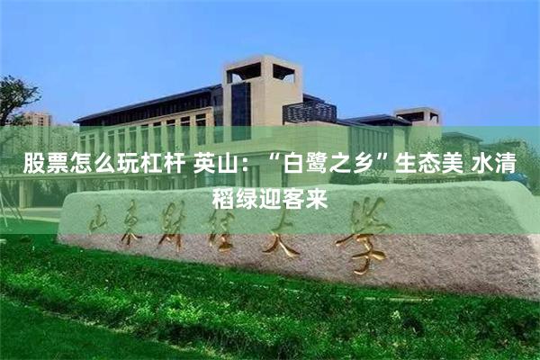 股票怎么玩杠杆 英山：“白鹭之乡”生态美 水清稻绿迎客来