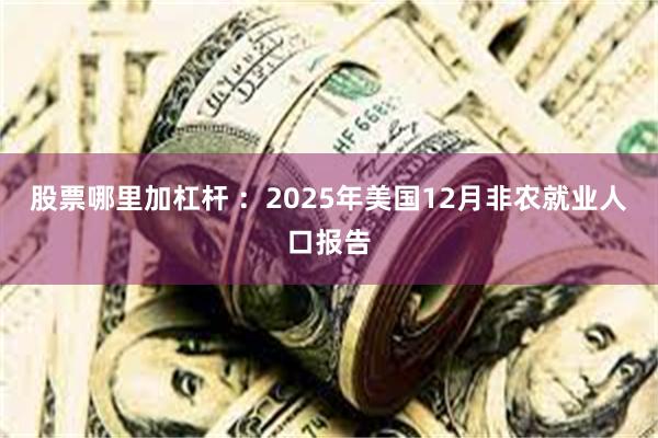 股票哪里加杠杆 ：2025年美国12月非农就业人口报告